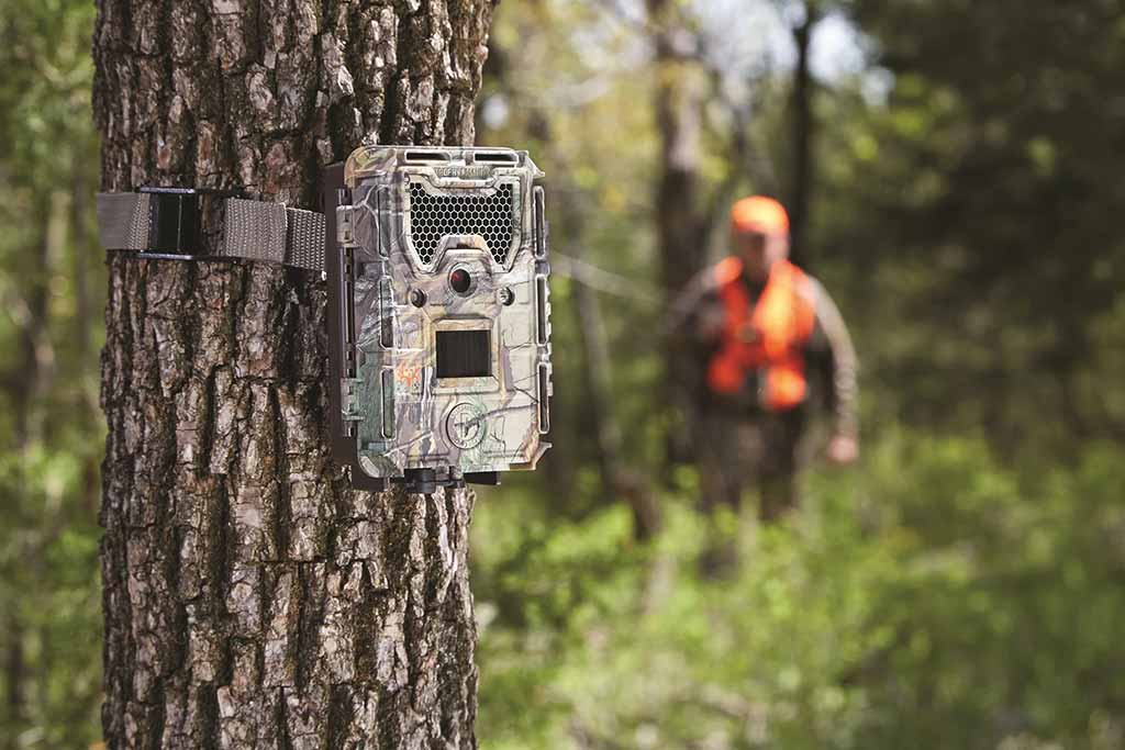 Una fototrappola professionale installata in un bosco per videosorveglianza