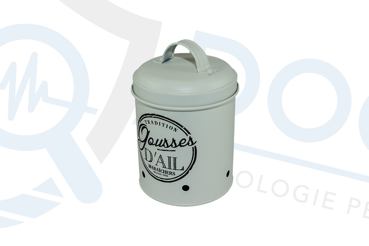 Microcamera full HD con DVR occultata in un barattolo metallico per biscotti DES.24