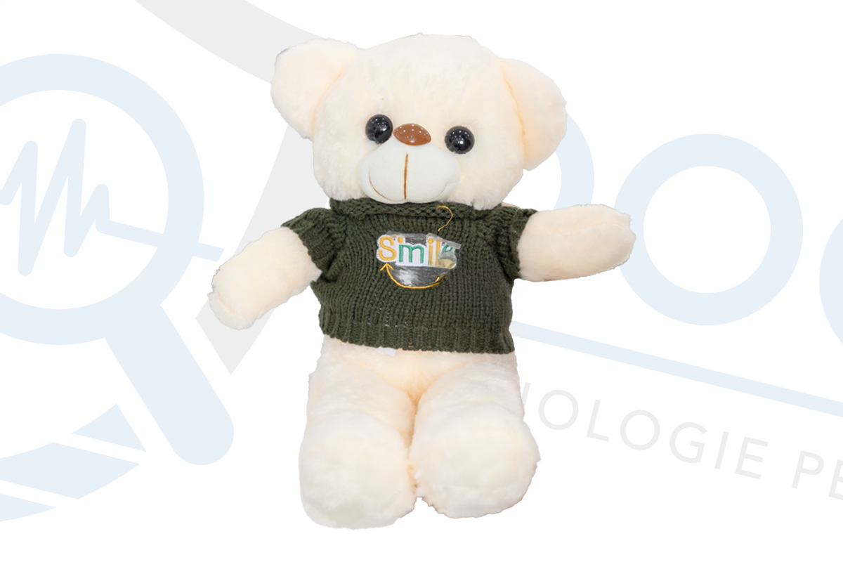 Mini telecamera spia occultata in orsacchiotto di peluche CAM.W.19